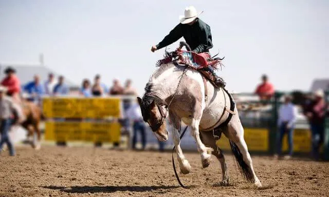 a man during a rodeo