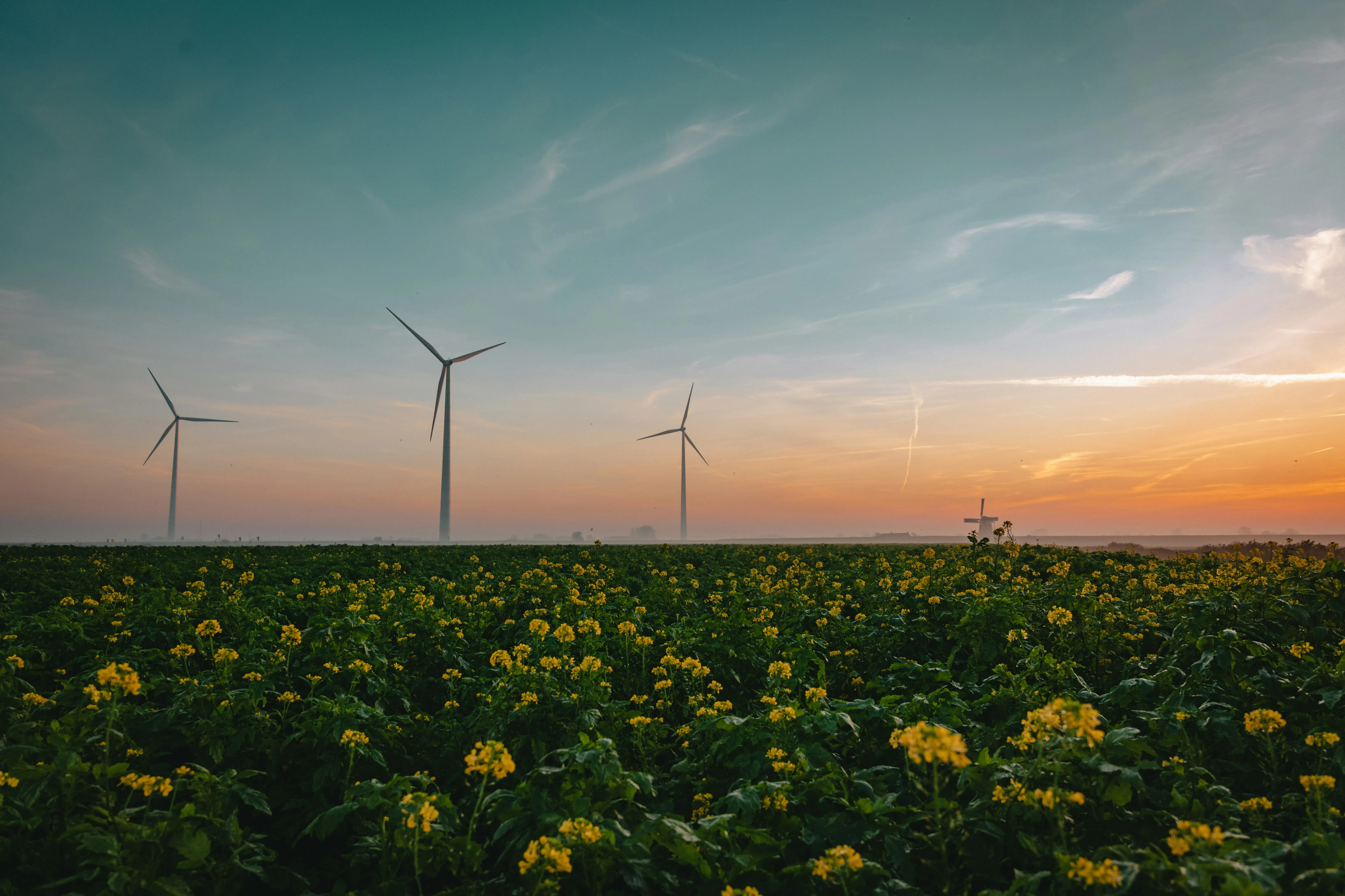 Renewable energy site induction and check-in system